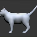 3D Model White Cat Standing On Platform With Reflection And Dark Background