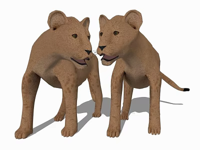 Brown Baby Lizard Hatchlings Standing Face To Face With Shadow On White Background 3d model