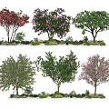 Modern Tree Landscape Trees Flowering Trees Ornamental Trees Sakura Trees 3d model