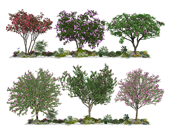 Modern Tree Landscape Trees Flowering Trees Ornamental Trees Sakura Trees 3d model