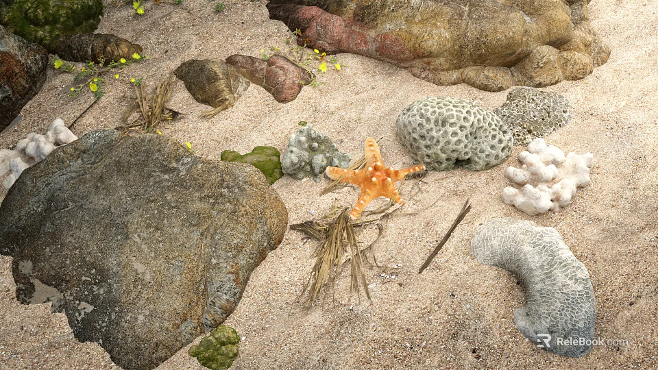 Natural Stones And Wooden Elements On Sandy Beach With Starfish Coral Dry Grass And Twigs 3d model 