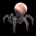 3D Spider Model With Pink Spherical Abdomen And Black Body Long Legs On Black Background