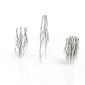 Organ Hair Filament Structures Showing Branched Growths on Isolated White Background