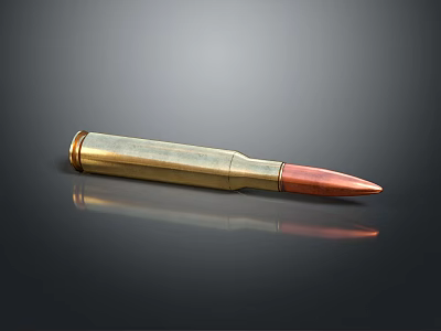 Detailed Metallic Bullet With Golden Brass Casing And Red Copper Tip 3d model
