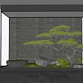 Modern Entryway Design With Waterfall Feature Wall Bonsai Pine Tree Rocks And Green Plants