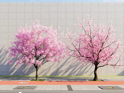 Two Outdoor Pink Flowering Trees With Gray Wall And Red Pavement 3d model