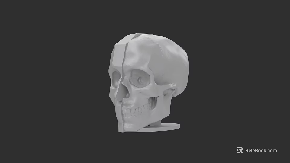 Game And Cinematic Skull Character 3D Rendered With White Design On Black Background 3d model