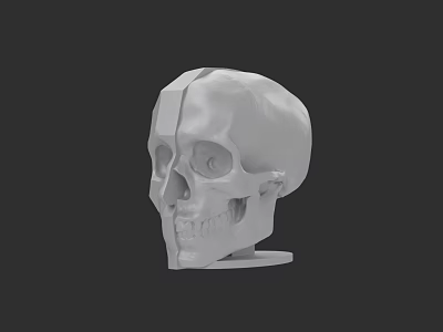 Game And Cinematic Skull Character 3D Rendered With White Design On Black Background 3d model