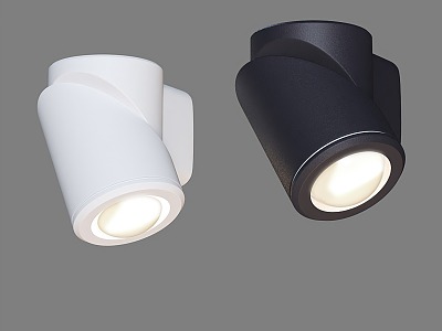 Modern Downlight Spotlight 3d model