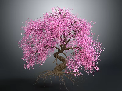 Beautiful Tree With Pink Blossoms Twisted Trunk And Exposed Roots On Gray Background 3d model