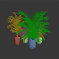 Potted Green Plants With Striped Light Colored Pots On Gray Floor Background