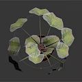 Indoor Wooden Planter With Green Monstera Leaves And Decorative Tray