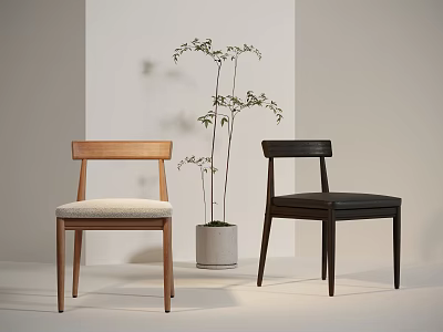 Two Different Dining Chairs With Wooden Frames Upholstered Seats In Minimalist Interior With Potted Plant 3d model