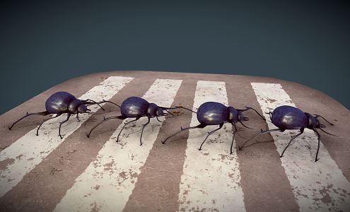 modern beetle a group of insects 3d model