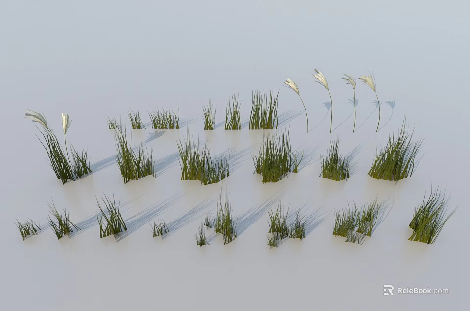 Green Grass And White Flowers In Various Forms On White Background 3d model