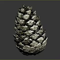 Pinecone With Metallic Texture And Detailed Scales Natural Plant Structure Isolated On Dark Background