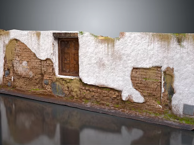 Old Brick Wall With Wooden Door And Peeling Plaster By Water Reflection 3d model