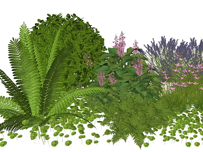 Diverse Plant Combination with Lush Ferns Bushy Shrubs Purple Flowers Lavender and Small Green Leaves 3d model