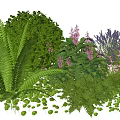 Diverse Plant Combination with Lush Ferns Bushy Shrubs Purple Flowers Lavender and Small Green Leaves