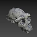 Detailed Textured Skull Model With Cracked Surface And Blue Spots