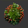 Tree Like Plant With Green Leaves And Red Strawberries On Green Base