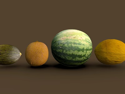 Assorted Fresh Melons With Green Striped Watermelon Orange Yellow and Green Varieties Arranged in Row 3d model