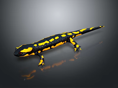 Black and Yellow Spotted Reptile on Smooth Reflective Surface Close Up View 3d model