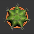 Healthy Green Spherical Cactus Plant with Sharp Thorns in Brown Ceramic Pot