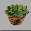Succulent Plant With Green Plump Leaves In Orange Pot With Purple Geometric Patterns