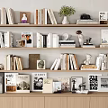 Books and Magazines Arranged on Shelves with Decorative Figurines and Plants