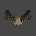 Ram Skull With Curved Textured Horns And Detailed Bone Structure In Shadow