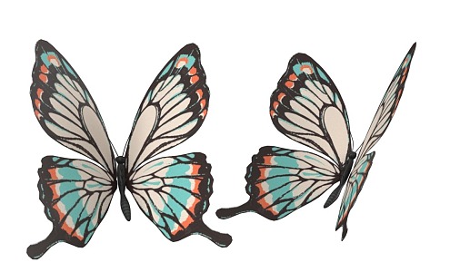 Butterfly Insect Flying Animals Color Butterfly 3d model