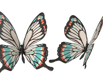 Butterfly Insect Flying Animals Color Butterfly 3d model