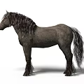 Majestic Gray Horse With Long Hair Standing Isolated On White Background