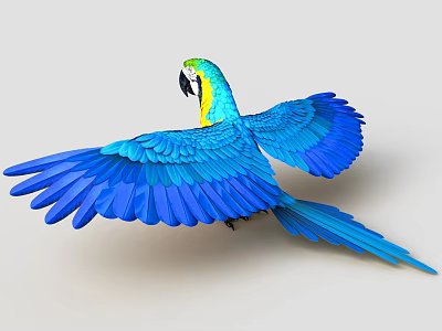 Blue and Yellow Macaw Parrot Spreading Vibrant Blue Wings With Green Head and Colorful Feathers 3d model