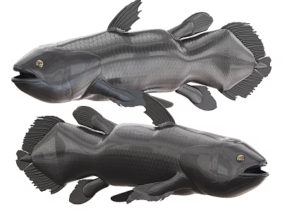 Two Black Aquatic Fish With Large Fins Distinctive Eyes And Unique Body Shape 3d model