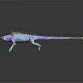 Colorful Metallic Sheen Lizard Character 3D Model With Reflection On Dark Background