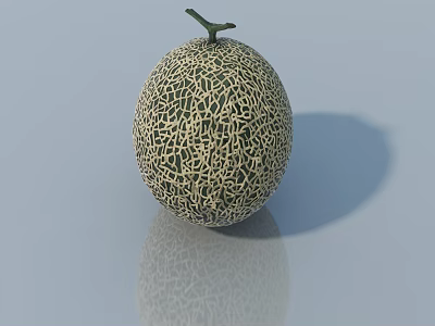 Fresh Ripe Cantaloupe With Intricate Netted Skin On Smooth Reflective Surface 3d model