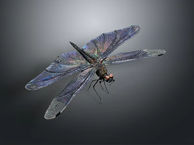Detailed View Of Dragonfly With Iridescent Purple Blue Wings On Dark Background 3d model