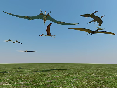 Majestic Flying Reptiles Pterosaurs Soaring in Blue Sky Over Green Grassland 3d model