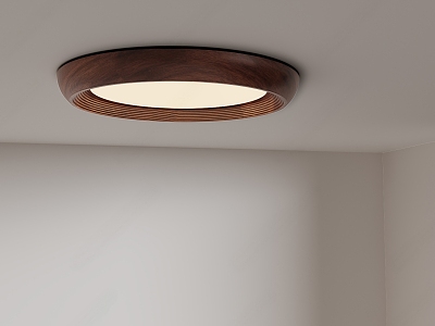 medieval minimalist ceiling lamp model