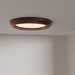 medieval minimalist ceiling lamp 3d model