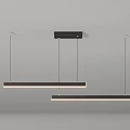 Modern Linear Pendant Light Design With Black Hanging Frame And White Lampshade 3d model