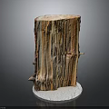 Wooden Stump Cross Section With Natural Wood Grain On White Circular Base