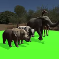 Game and Movie Characters Featuring Elephant Giraffe Bear Rhinoceros Cow 3D Models on Green Background