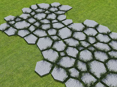 Gray Stone Hexagonal Garden Path Paving With Grass Growing In Gaps 3d model