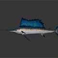 Swordfish With Long Bill And Blue Dorsal Fin On White Background