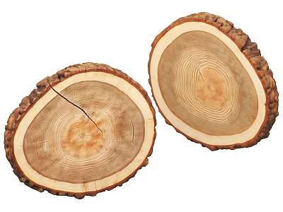 Two Natural Wooden Slices With Visible Tree Rings And Bark Edges For Rustic Decor 3d model