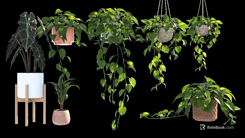 Bonsai Potted Plants With Hanging Green Leaves And Various Decorative Pots 3d model 