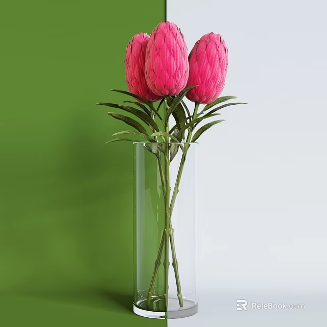 Pink Protea Flowers In Transparent Glass Vase With Green And White Background 3d model 
